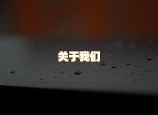关于我们
